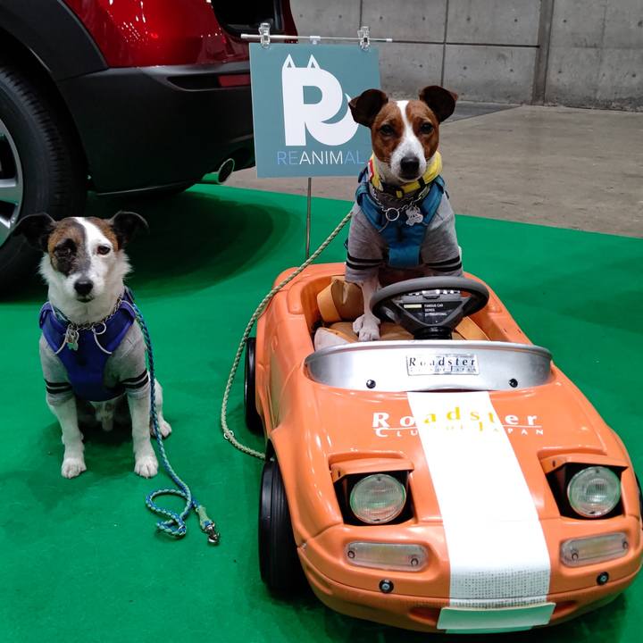 08ec6544 72de 421f 8542 490b4642df9b 1617368010572