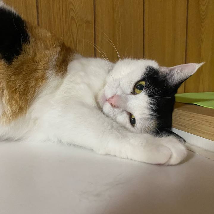 08ec91ce a0a0 4998 985d 75efca02ce4c 1652388525659