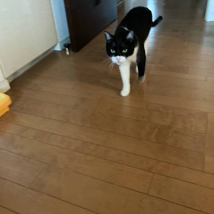 08ecc257 499f 4a91 81a3 4ed7b54d88d3 1660448757848