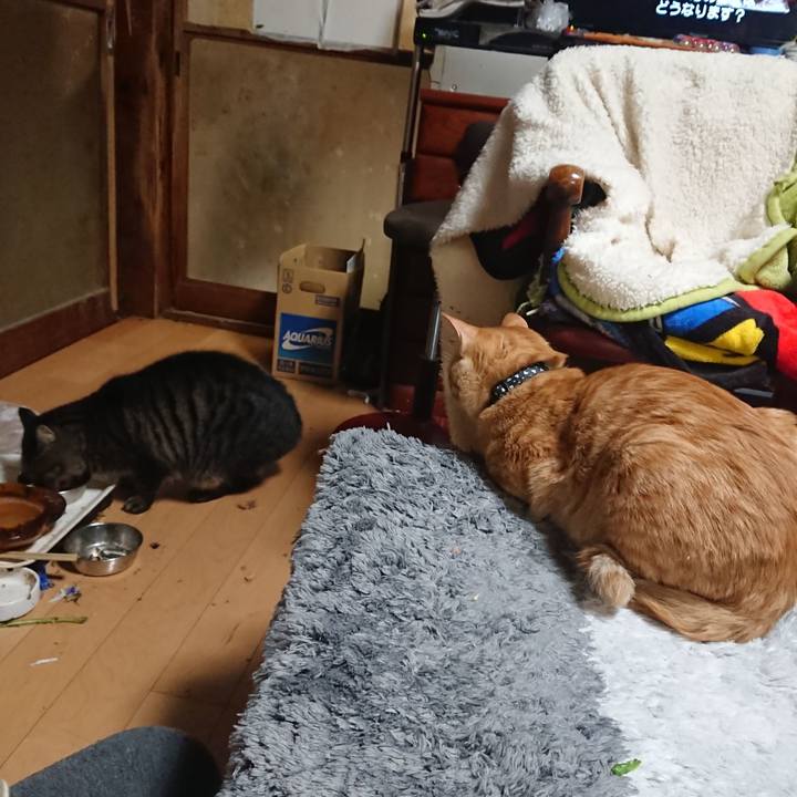 08ece005 7fb5 45db a9f4 ed8affe9a54c 1636283326646