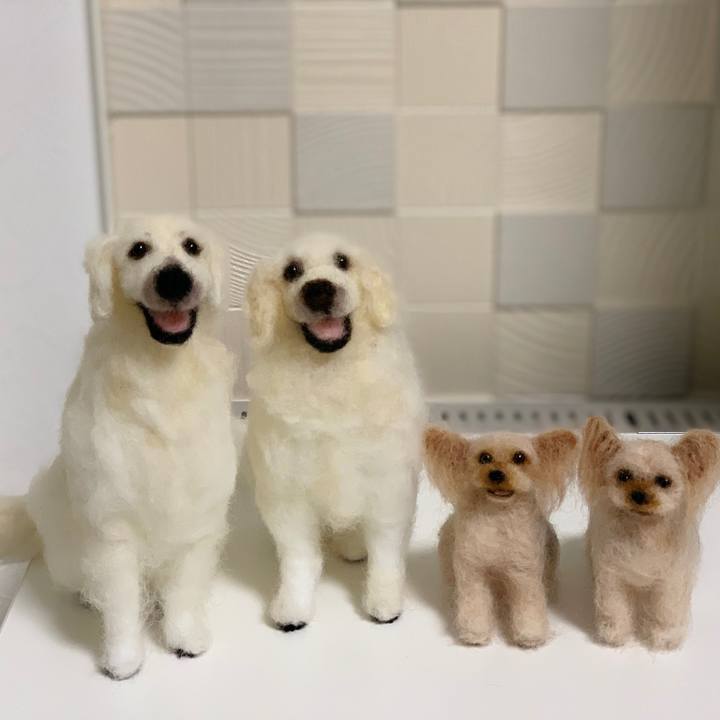 08ed2711 7429 469d 9f9b 1e6298eee74e 1556975618588