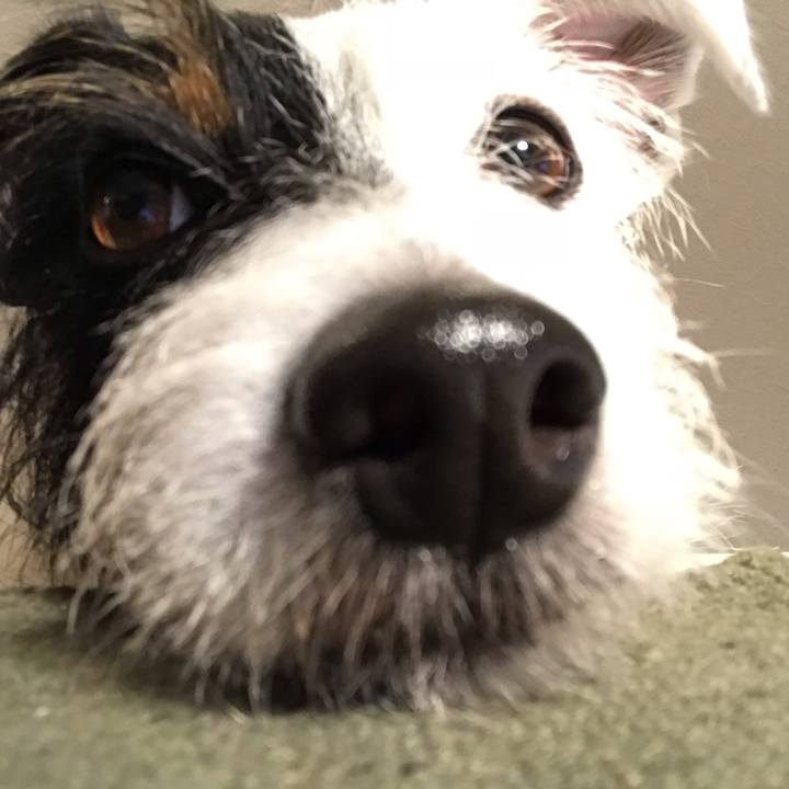 08ed8976 39b4 4b47 a497 819c7b8583f4 1538657928770