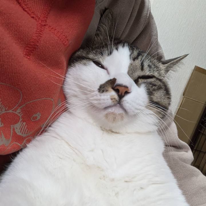 08ed935c 228b 4077 849b 7b6285b0a492 1735475626749