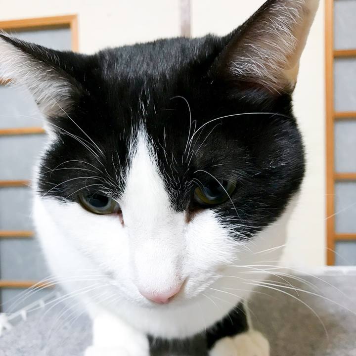 08edb2b6 c9e3 49e5 a904 b858d6ae10d9 1513558146278