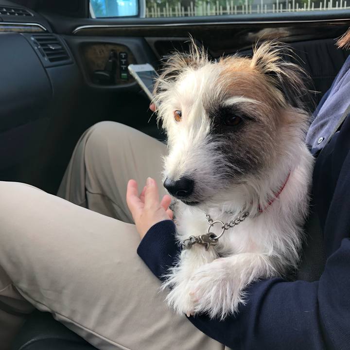 08edb512 2dc7 4923 9d7e 65af7afc8464 1602574516588