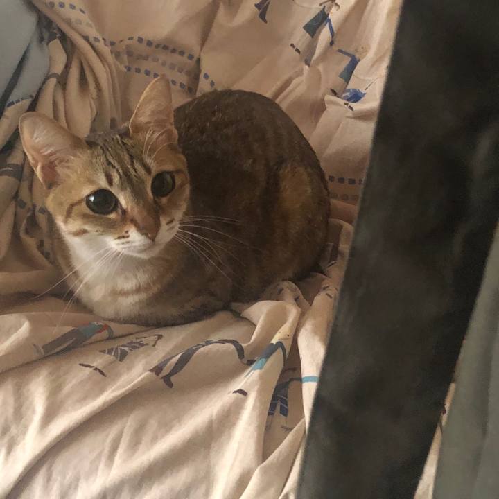 08ee0fd4 54ea 4c84 addc 87c1859acce8 1648721249789