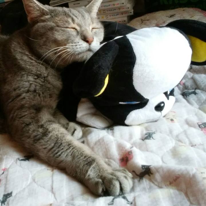 08ee105f b18e 4b70 ac5c 5b4087a548b8 1565487042522