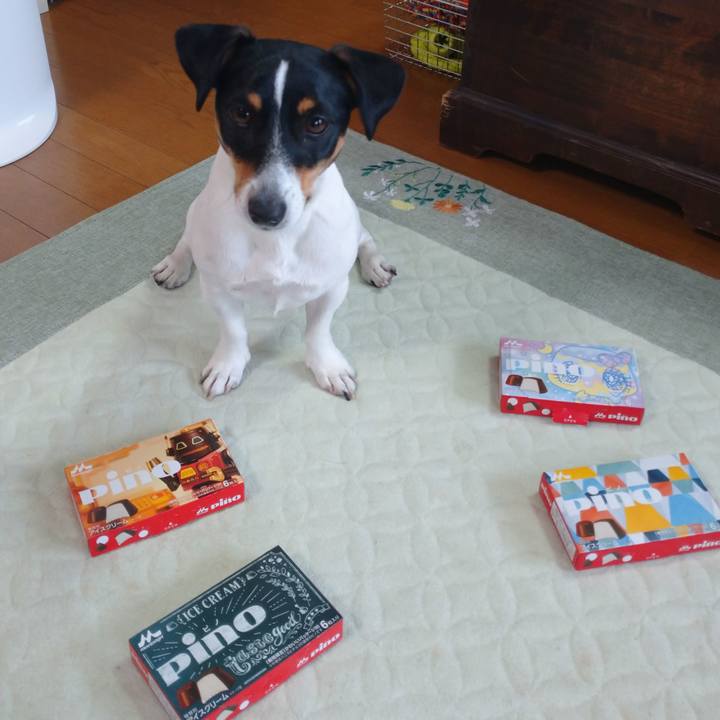 08ee1dc3 f7d2 4c64 b1c5 7eb29cb9359c 1610959835678