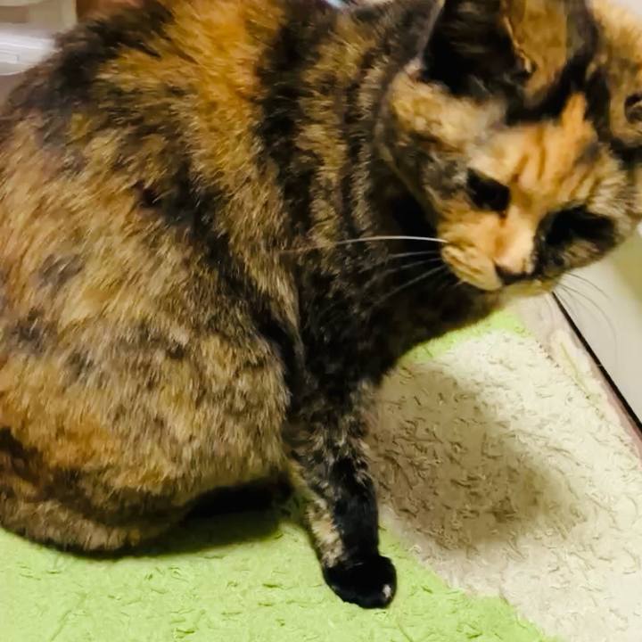 08ee33f9 3b8e 4057 b5b2 c4d4b1c742a7 1733823100532