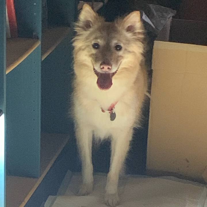 08ee53f7 2aff 4ebf 88c4 6a0f58dda298 1662209890276