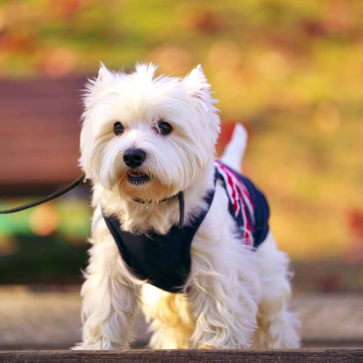 08ee5818 7564 484c a107 ccb6fadd26f0 1512945338933