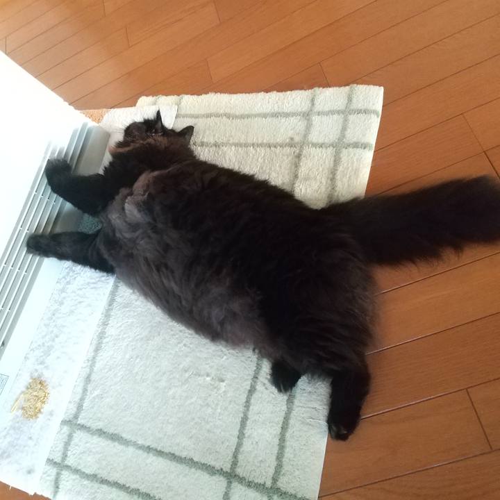 08ee5f91 5403 41ce a9f4 e28199146e25 1639004523964