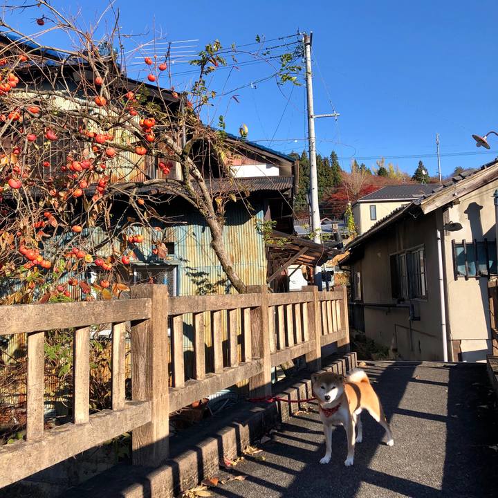 08ee618b a8e8 4c0f 9f66 ef852f1a483b 1542711095349