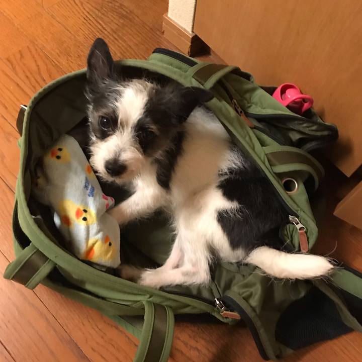 08ee7591 f54b 4e75 8433 0a0cbc630baa 1557397208784