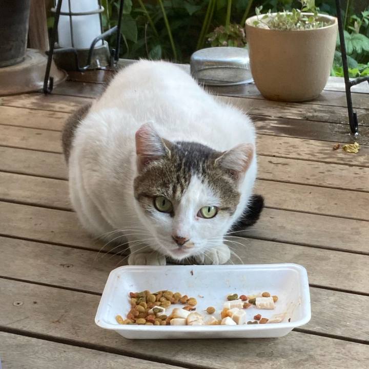 08eecc69 8c1a 409e 9ca3 084890ef26e5 1667194979295