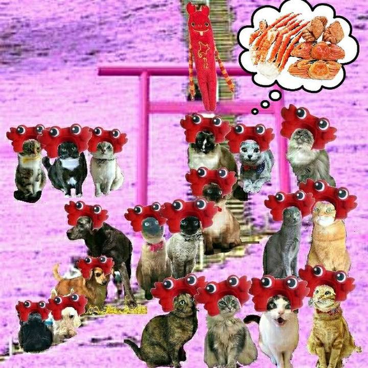 08eed74e d214 4e98 b416 a36b102c8f2e 1525431893055