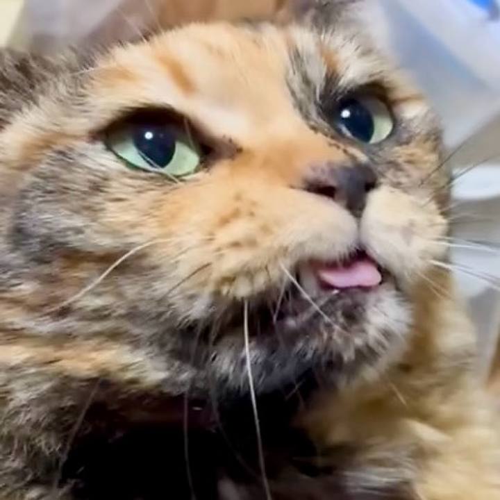 08eeebad aea9 4630 a6cc 4ed2f1316974 1769373813360