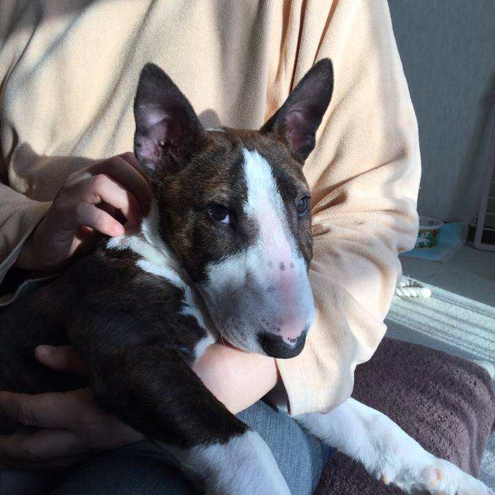 08eeebd1 5f3b 4c99 ae5f 071dda9171c6 1551440936026