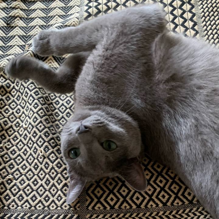 08ef1bec 1917 4208 830f 03d10285864e 1599601076044