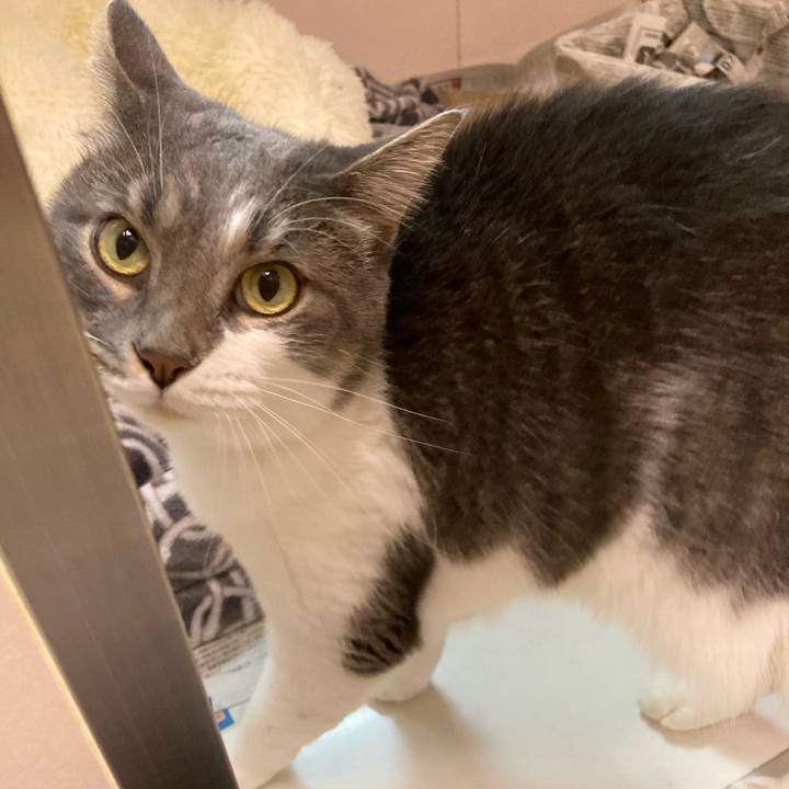 08ef2aa6 c727 4952 b2b0 4b1a0f159aa1 1668501235536