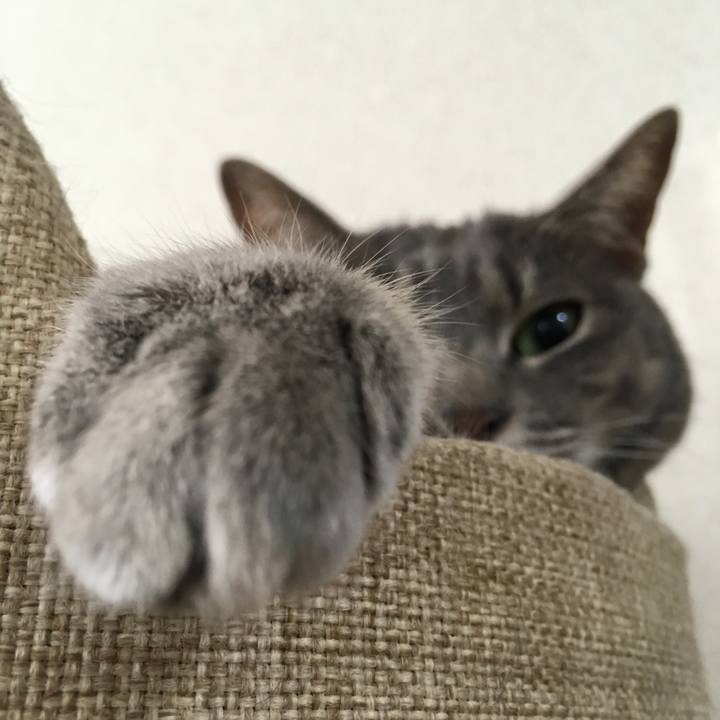 08ef439f b766 4cbe 9d13 4ebc82cb89f6 1566010743923