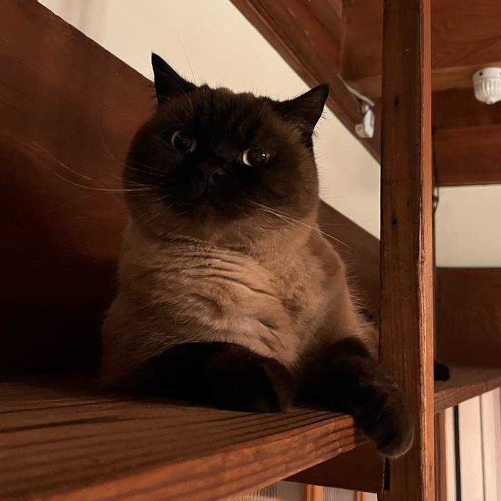 08ef4d91 9888 4646 a592 36eeed82237a 1675165906191