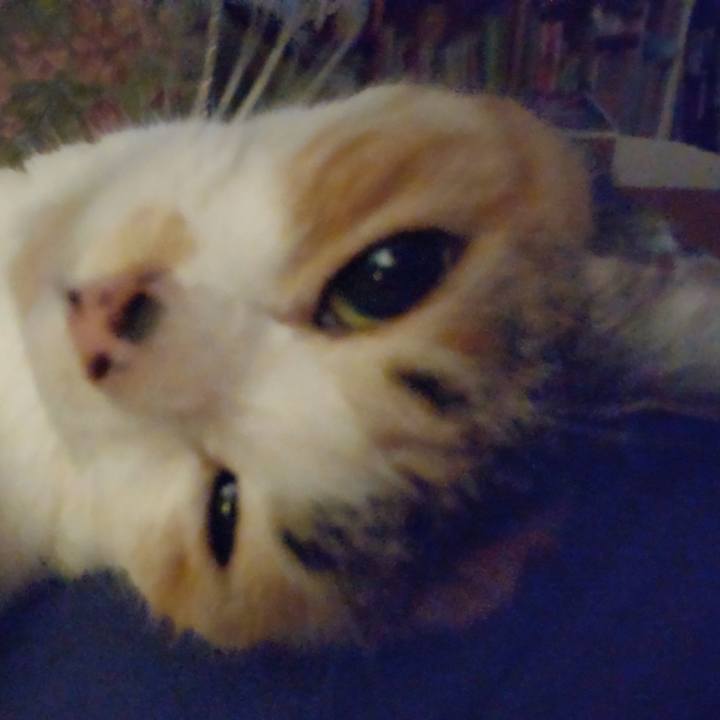 08ef66e3 880b 4f17 ba43 3a1d36927bc2 1651932339580