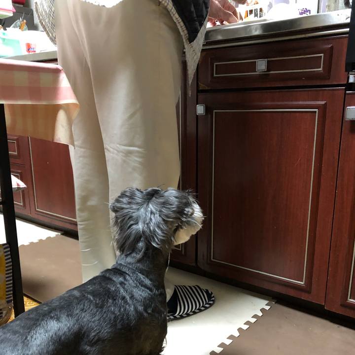 08ef85c8 db62 4fcc 974b 7a9994d95a01 1683092129335