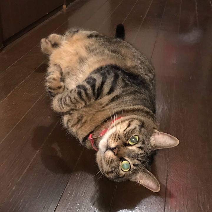 08ef8f4b 613a 45f5 ae09 f1a41ae01649 1557839271696