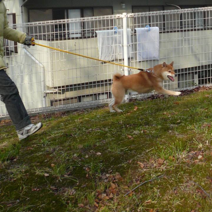 08efeb0a b5f8 4265 b3f0 b0602295cb39 1643093474894