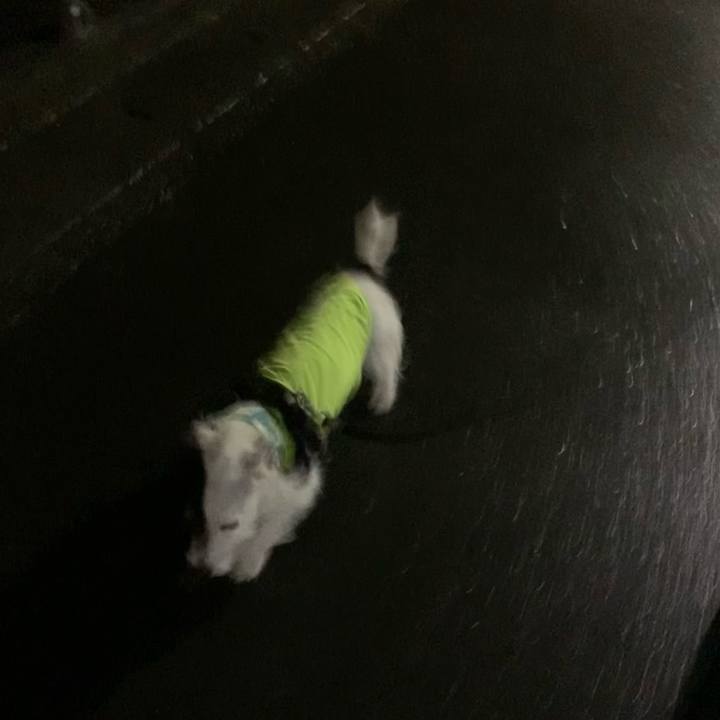 08effefa 8b47 494f b5dd 6401bf97061c 1665660010465