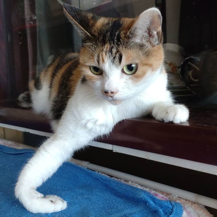 08f0180b 505f 4bd1 b20d 2180df5f6b13 1647560719029