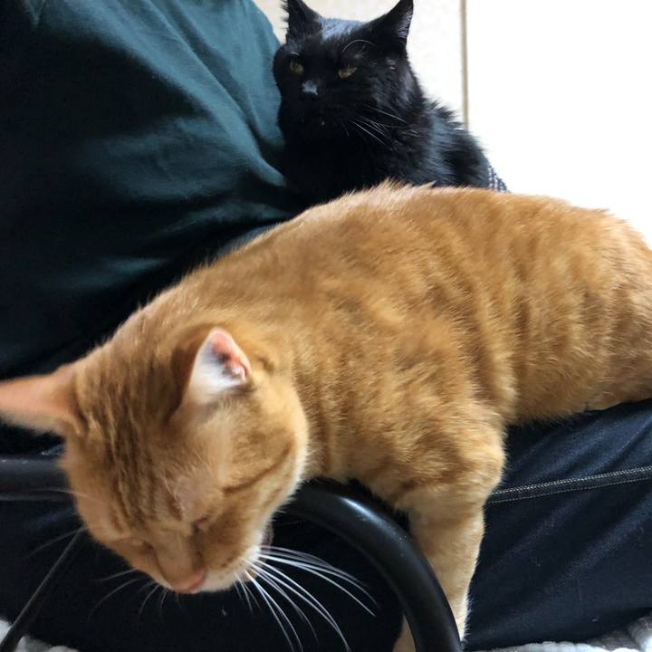 08f02412 d15f 43e7 8dd7 fb951ae86c1d 1638885143031