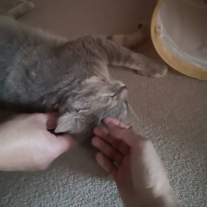 08f0341e 0e8c 4d84 a011 422c6fb73186 1569979841811