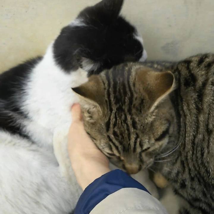 08f045b1 61f7 4770 bd5f 70e89e3001d2 1555239242748