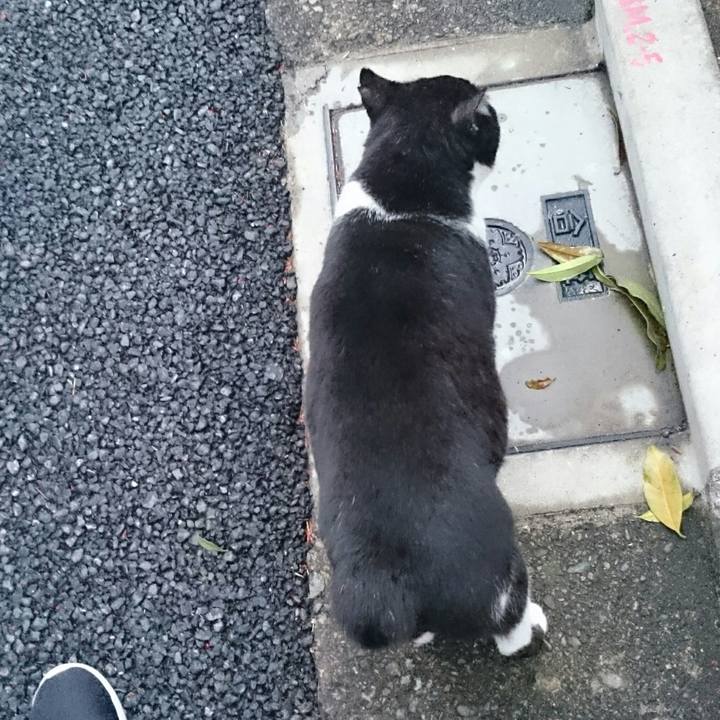 08f06349 9a7a 4951 9c85 720cdabde89f 1524561971358