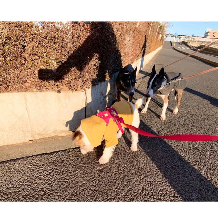 08f08161 87f2 49d3 9451 5db217a90ef3 1581248373211