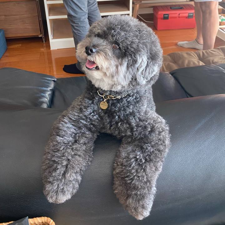 08f081e4 0994 4985 85bb 76100779ab02 1633485448959