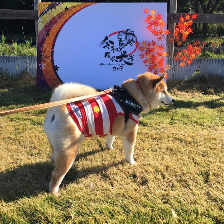 08f0914a f2bc 4438 babf 669b96d6ae27 1573915347844