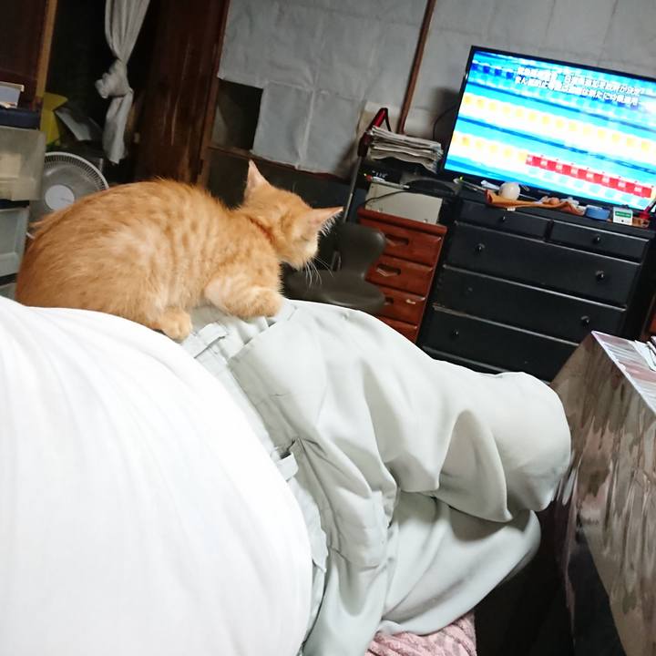 08f0982f 0917 4785 b8de 281e4761db2c 1629884122266