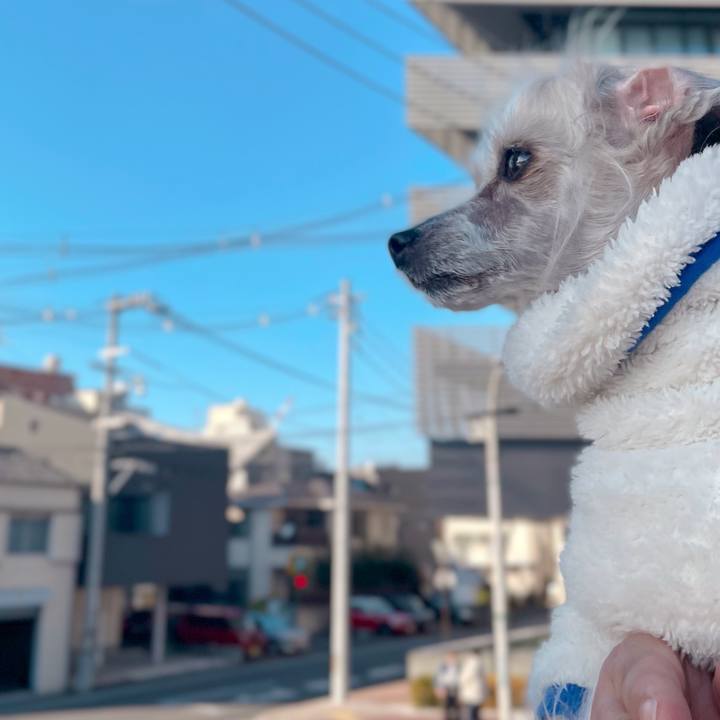 08f0a81f 9078 4e46 98ad 87f2eb227a7b 1763879528014