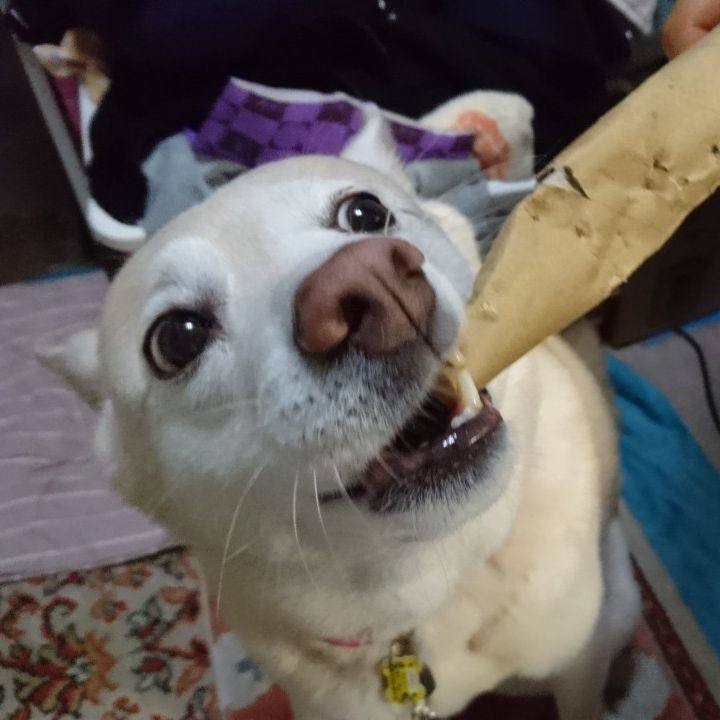 08f0acd7 4515 4e4f 9618 92f2e62e62ce 1571136840715