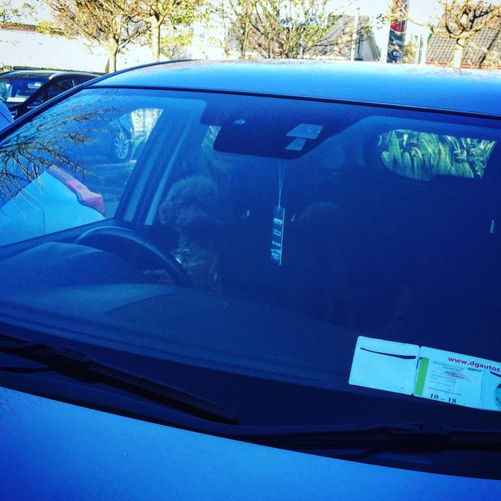 08f0b9c1 03b2 4f36 9e72 f116d731757f 1510058386001