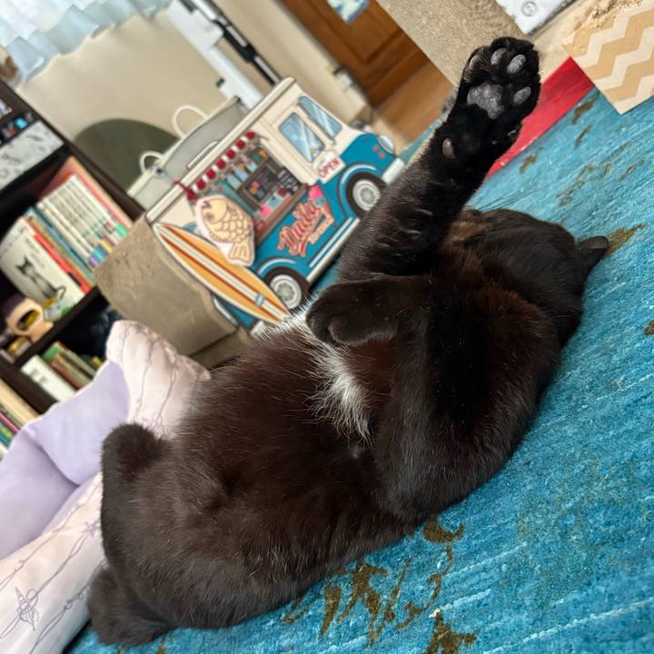 08f0dde7 b9a4 497d a1c4 50172152e612 1750732244455