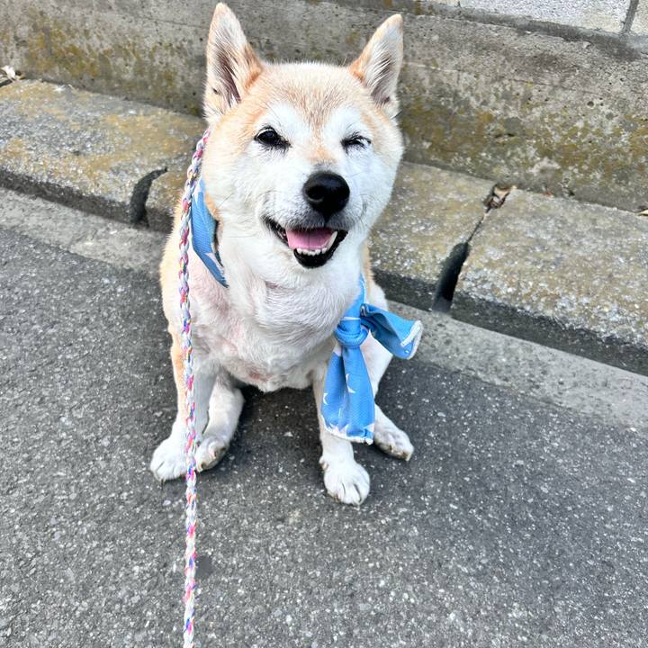 08f0e911 ef87 4760 99a5 bccce4c9bf75 1752102347105