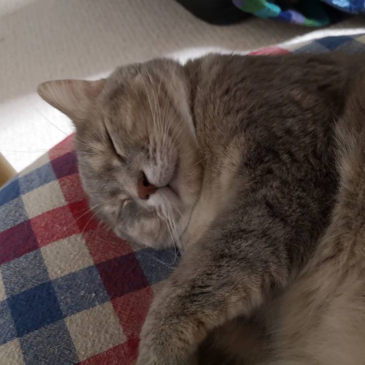 08f103fd 5912 4d68 827a 9ee97f2eb6cf 1568729249332