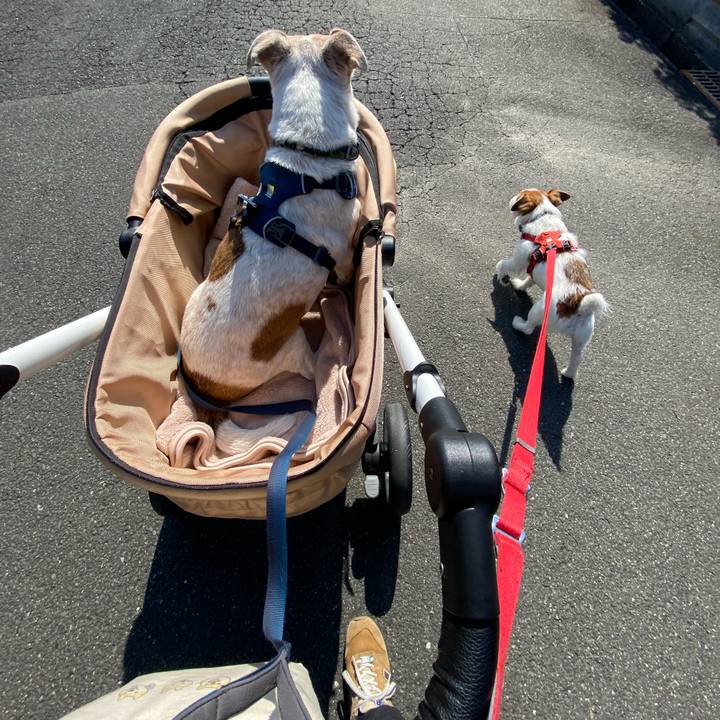 08f14edd 551a 47b3 aed8 3e2d5265dbed 1677124527127