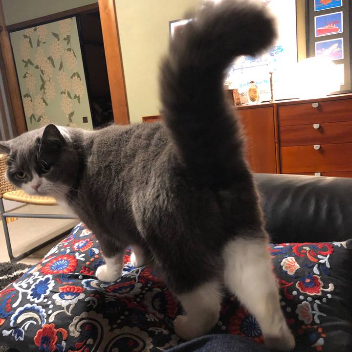 08f14fe5 9e50 4a18 a59d 92cefdfaacf5 1582269219402