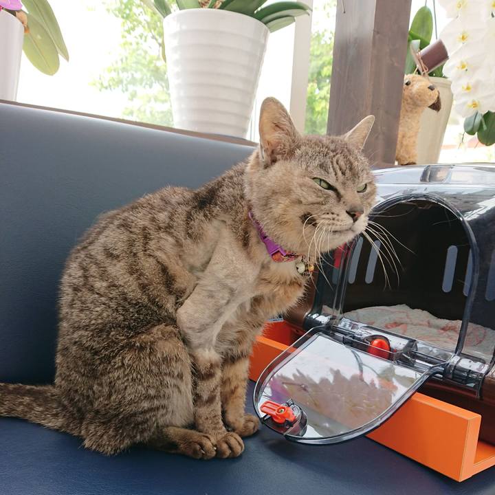 08f15f8f c281 4a66 be75 79b6b21a9738 1590912471012