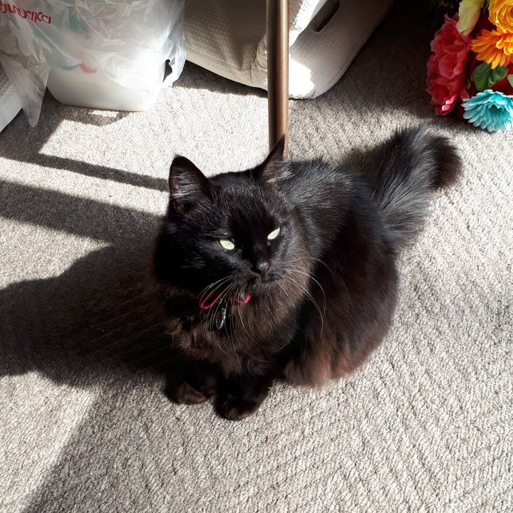 08f16ca8 7018 4f53 a7f6 8ecfd971217d 1518404634646